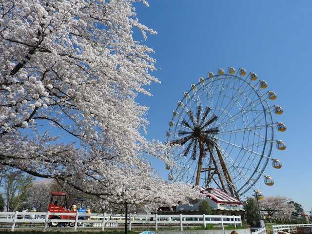 これまでで最高の東武 動物 公園 天気 予報 すべての動物画像