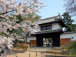 茨城県の桜が見頃な花見スポット 見頃情報 開花予想 桜 お花見特集21 1ページ目 いつもnavi