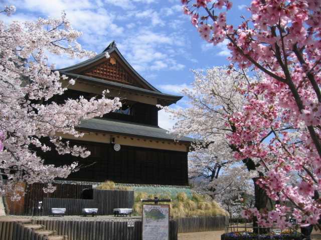 岩殿山丸山公園の桜の開花 見頃情報 花見特集21 いつもnavi