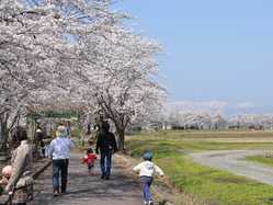 米沢の桜が見頃な花見スポット 見頃情報 開花予想 桜 お花見特集21 1ページ目 いつもnavi